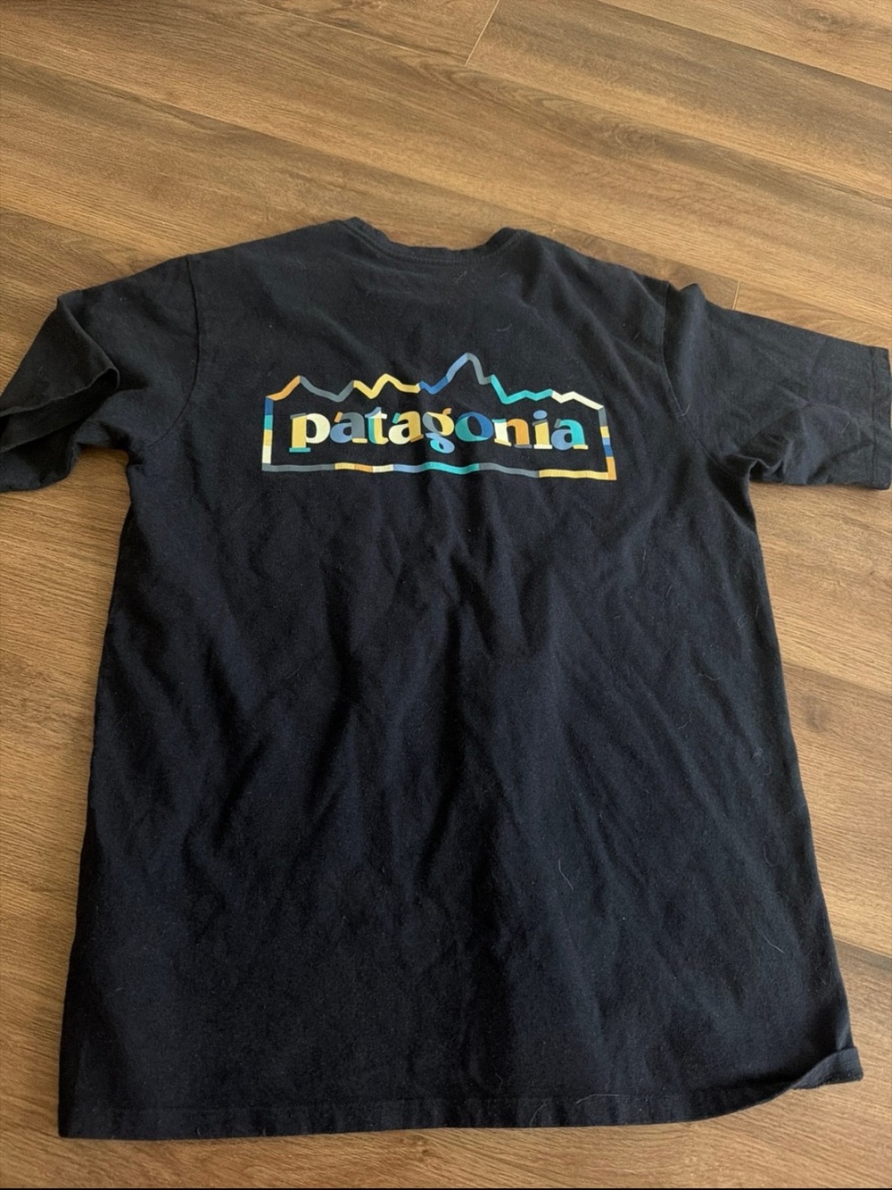 Patagonia Black Tee with Yellow, Teal & Blue Logo